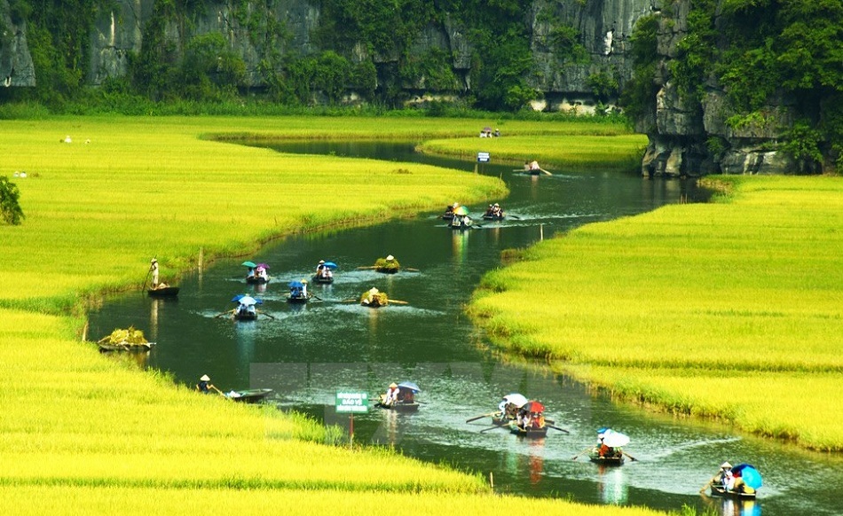 Hoa Lư – Tam Cốc – Hang Múa 1 Ngày