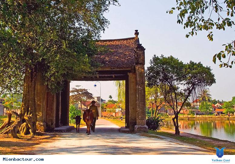 Đường Lâm – Vạn Phúc 1 Ngày