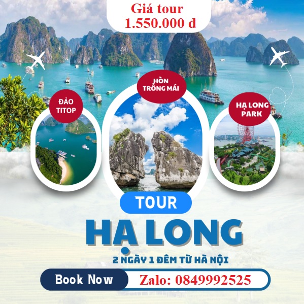 Hạ Long – Tuần Châu – Bãi Cháy 2 Ngày 1 Đêm